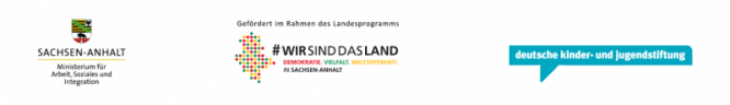 logo_sa_mfasi_wirsinddasland_dkjs.png