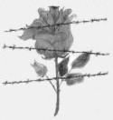 logo_rose.jpg logo_rose.jpg